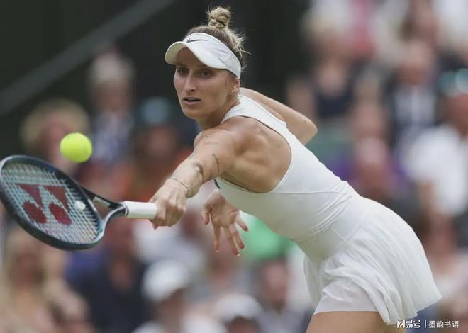 码牌的高度 码牌的高度