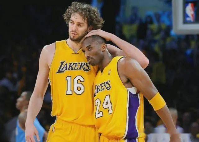 结论并不需 结论并不需